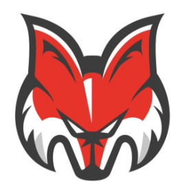 Bolzano-Bozen Foxes 2016-Pres Secondary Logo iron on heat transfer